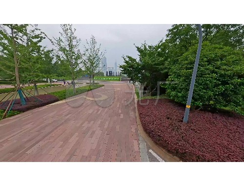 武汉城市绿化