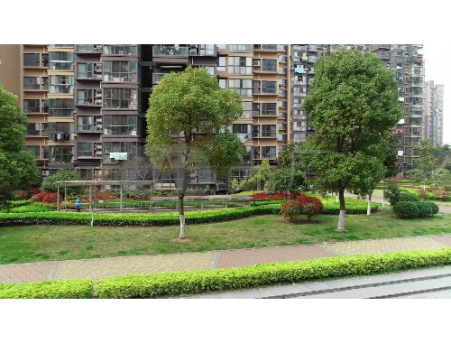 枣阳绿化资质取消后并入市政三级了吗