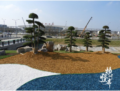 威廉希尔williamhill官网地址：新沂城市绿化养护管理标准
